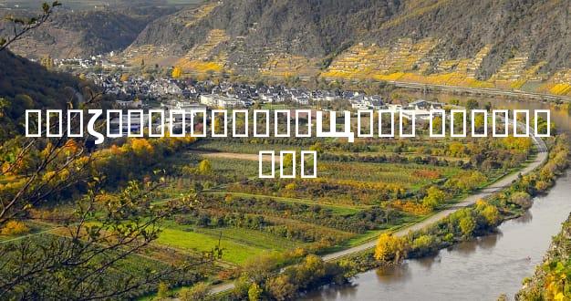 ���ζ���ҵ������ЩӰ�� ���Ϳ�����